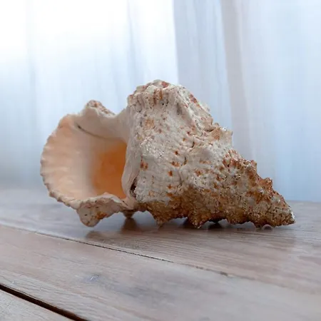 A Nouste à Hébergement de vacances Arcachon