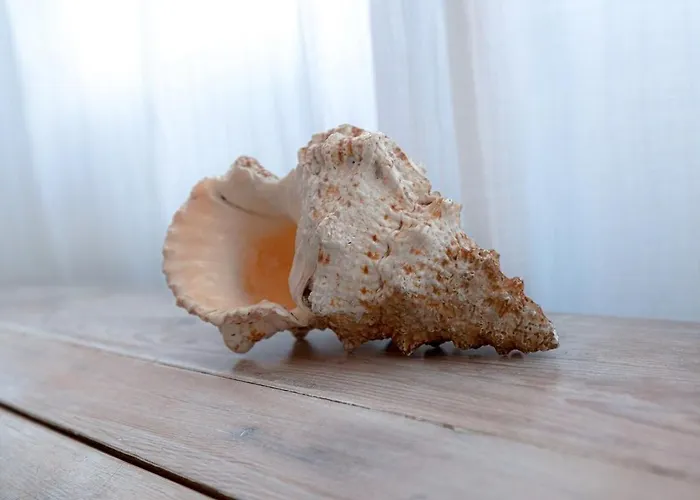 A Nouste à Hébergement de vacances Arcachon